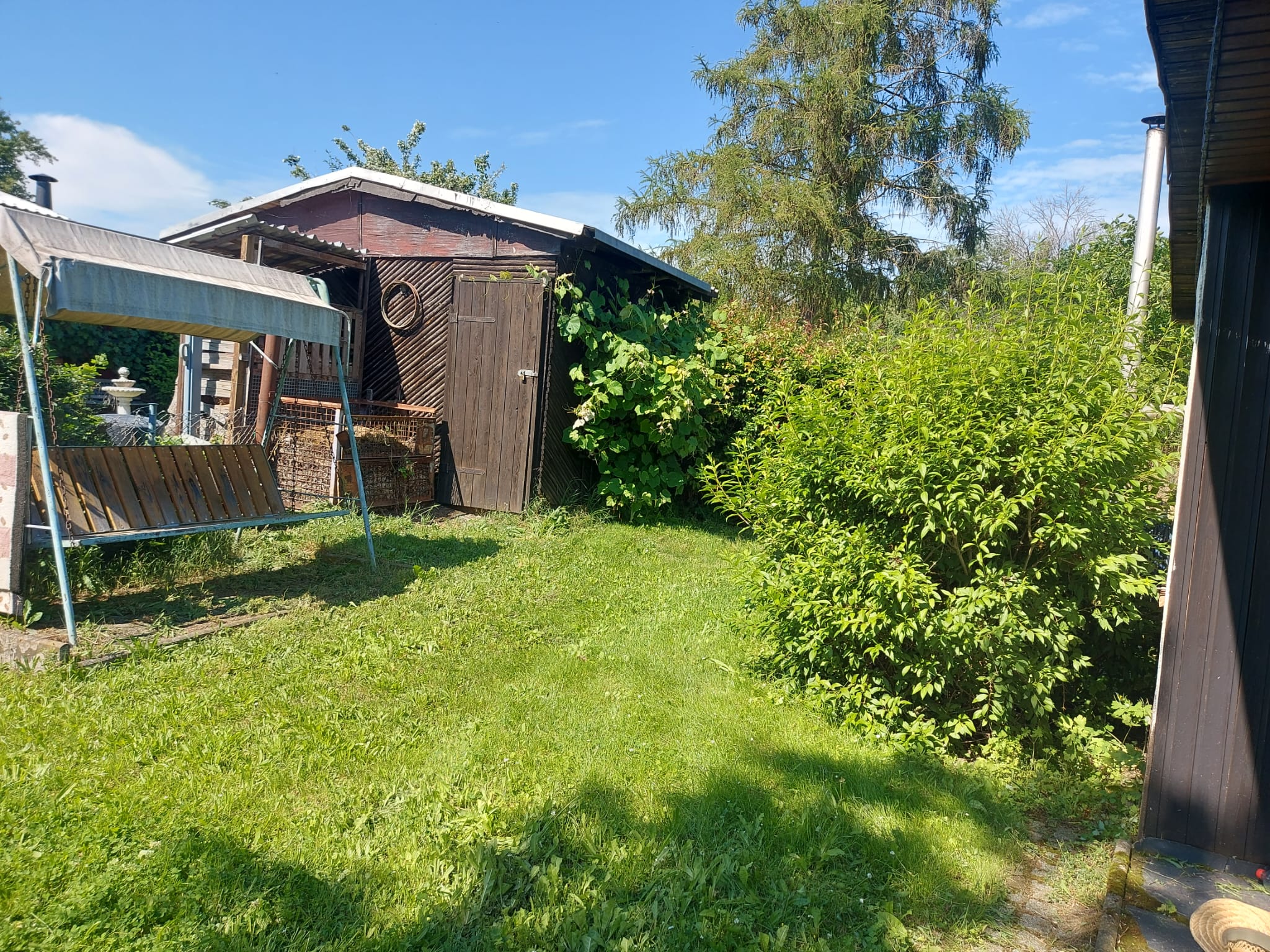 Garten 6